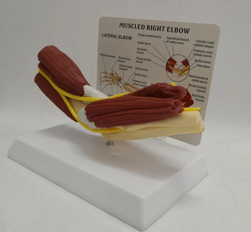 

Educational Equipment & Supplies