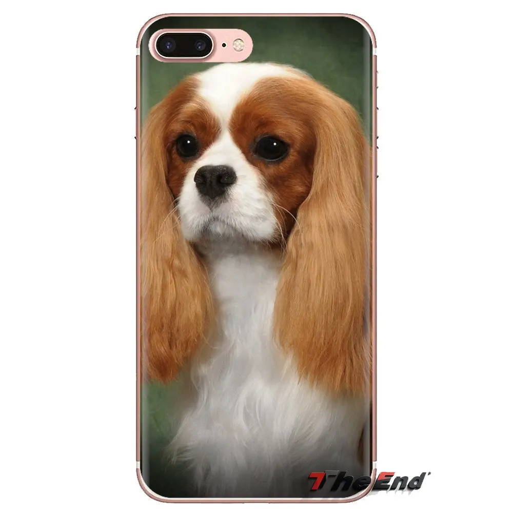Для iPod Touch Apple iPhone 4 4s 5 5S SE 5C 6 6S 7 8 X XR XS Plus MAX кавалер король собака спаниеля щенок