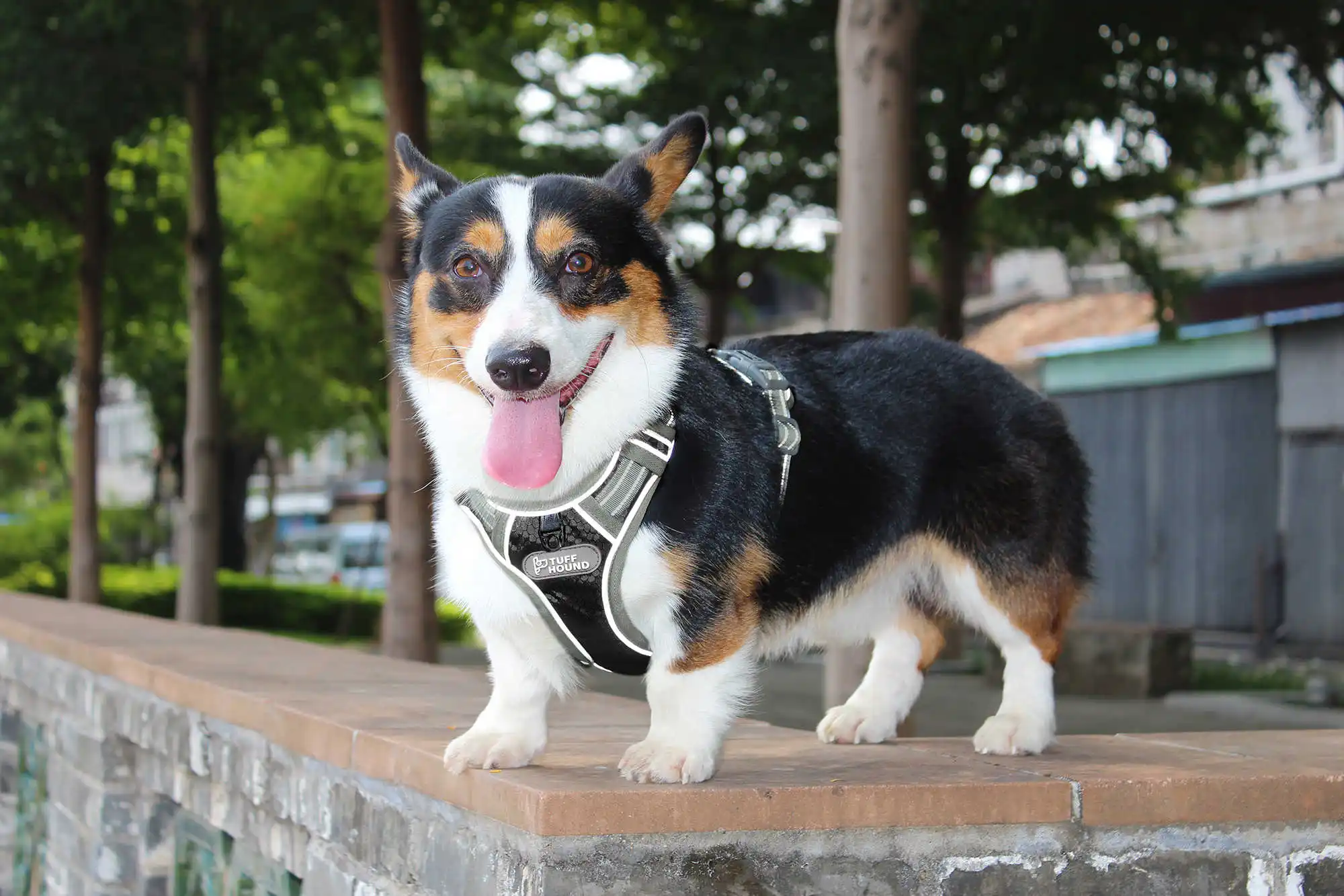 TUFF HOUND товары для домашних животных нейлоновый жилет для собак K9 дышащий и удобный пояс для собак большой маленький бульдог быстросъемный