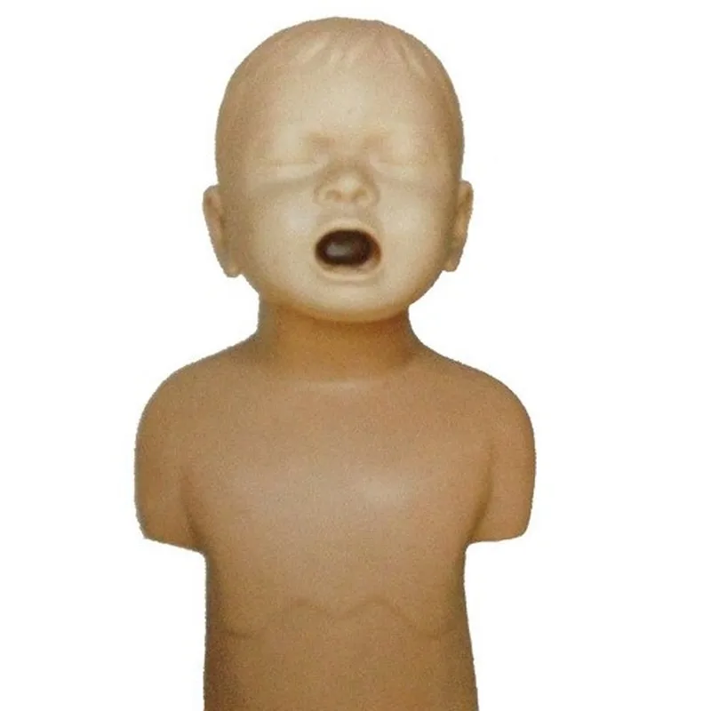 

The teaching model of infant asphyxiation training simulates human mold
