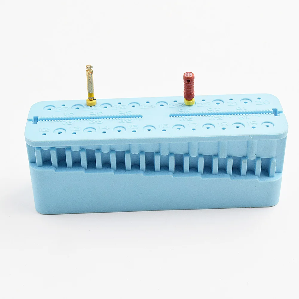 1 шт. эндододонтическая линейка для измерения эндонтических блоков|Модель зубов