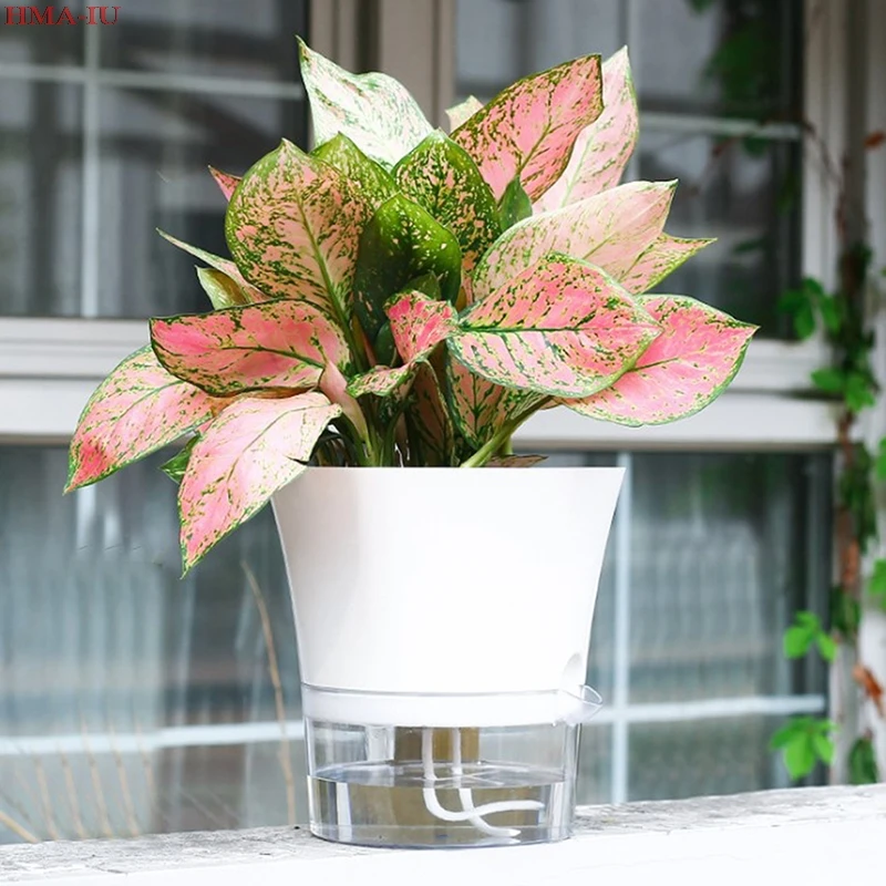 1 шт. креативный самополивающийся цветочный горшок для дома и офиса | Дом сад