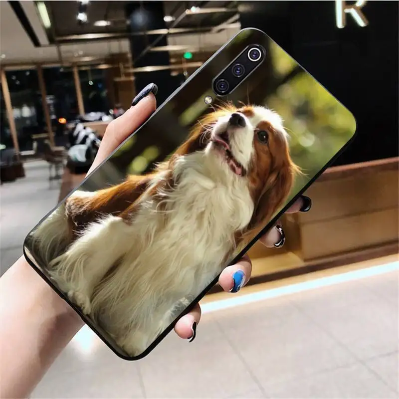 Чехол кавалер Кинг чарльз спаниель черный мягкий чехол для телефона Huawei Honor 30 20 10 9