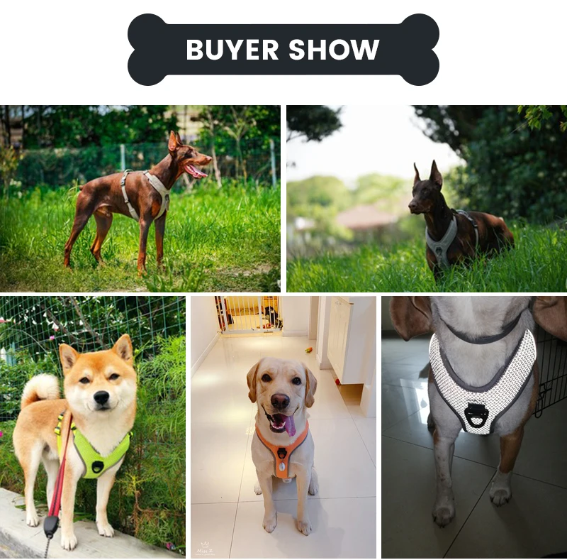 

Truelove Dog Harness Reflective No Pull Vest Quick Adjustbale Matching Leash Collar Training Running Vehicle Harnesses