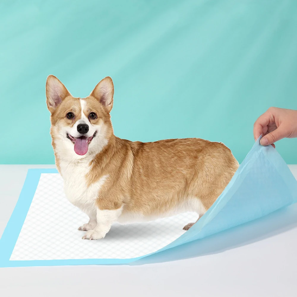 

Absorbent Pet Diaper Dog Training Pee Pads Disposable Healthy Nappy Mat For Cats Dog Diapers Quick Dry Surface Mat Nappy For Dog
