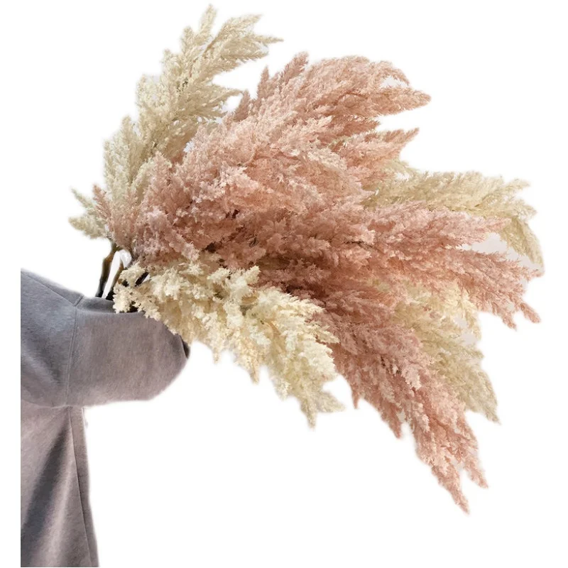 

Simulated dry flower pampas decoration pastoral home wedding Hotel creative flower arrangement landscaping reed flower