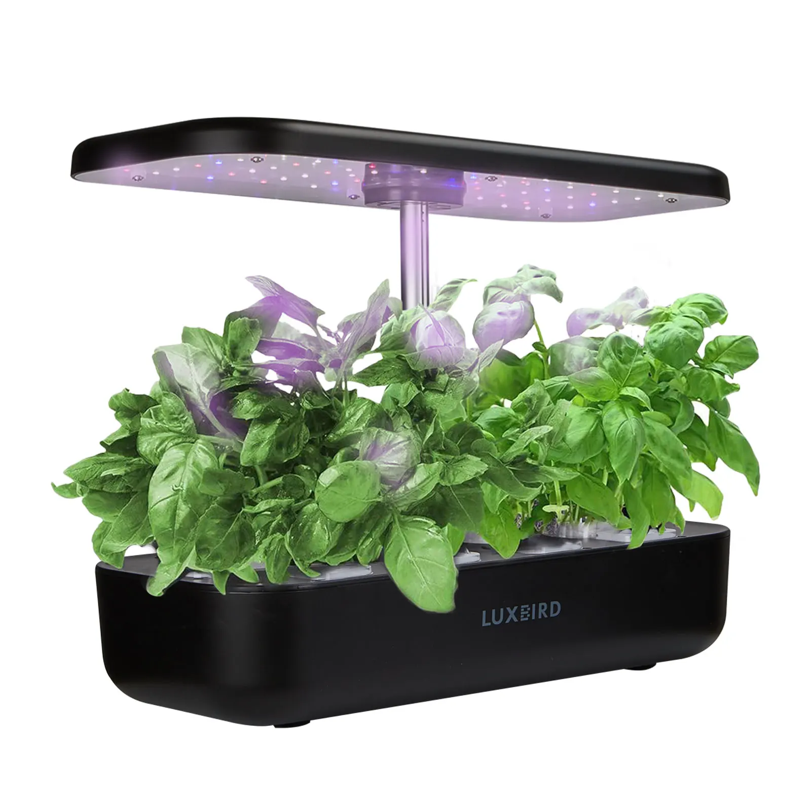 Automatic Seeds Nursery Pots Hydroponics Growing System With LED Growing Lights Adjustable Panel Height Full Spectrum Sunlight