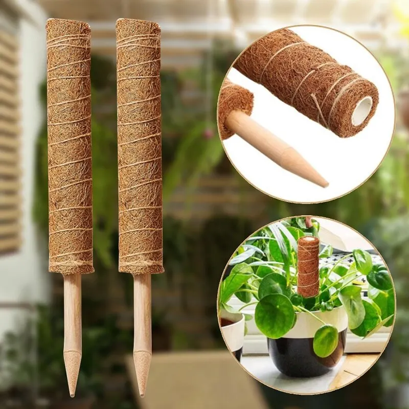 12PC/set Plant Climbing Pole Coir Moss Stick Palm Vines Support Extension Indoor Plants Creepers | Дом и сад