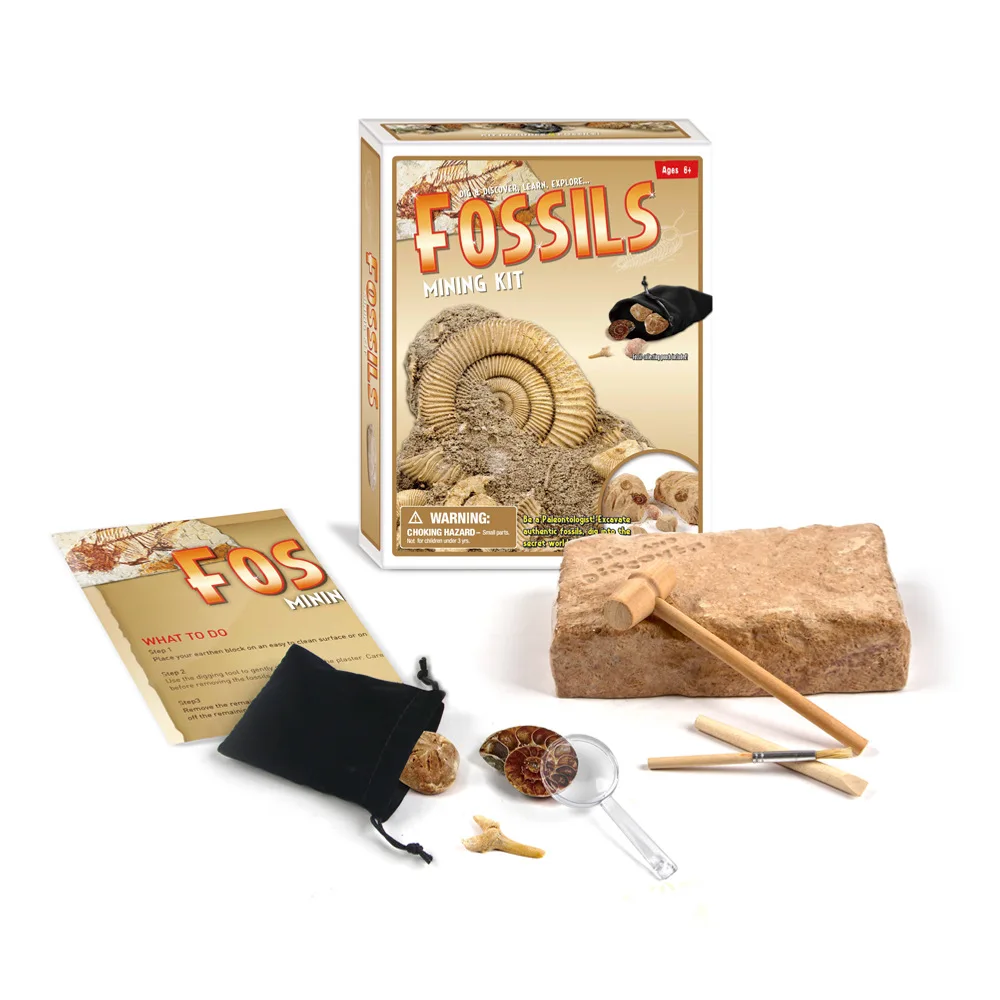 

Hot Selling Simulation Archaeological Excavation Toys Children's Early Education and Wisdom Shell Model Plaster Fossil Toys
