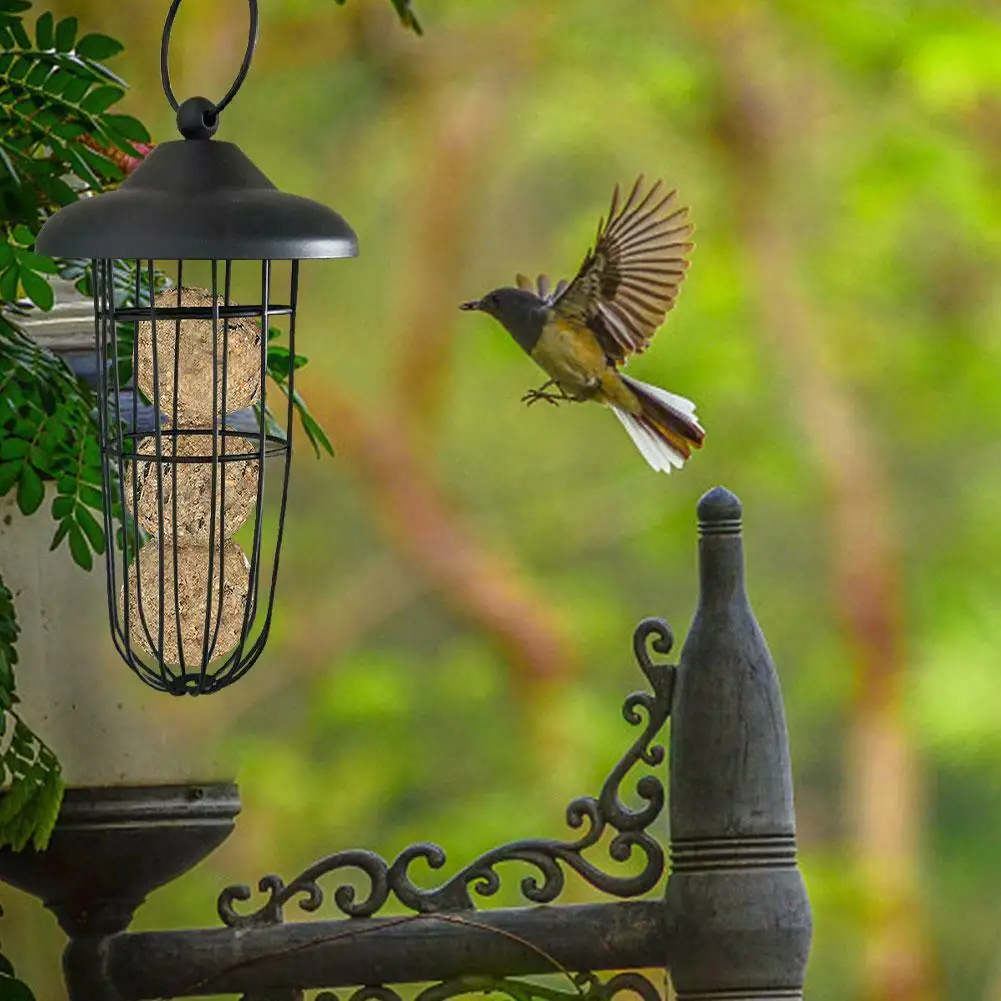 Садовая кормушка для диких птиц крючок подвешивание семян улицы кормления белки