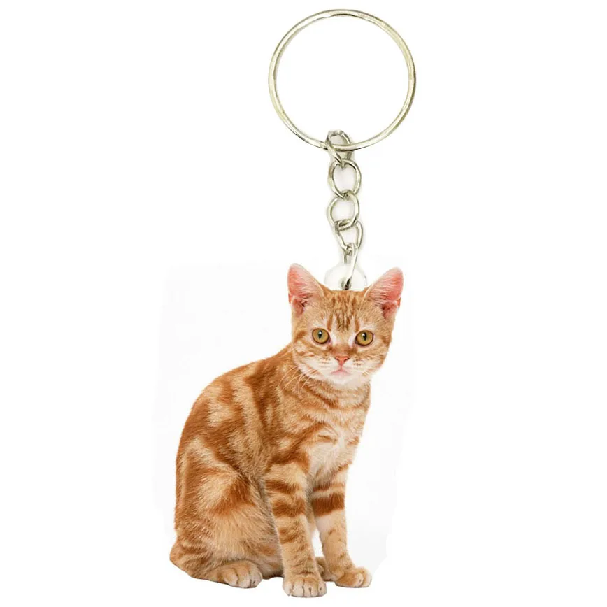 

Orange Home Cat Acrylic Cats Keyring Steel Fashion Keychains Men Key Chain Child Key Ring Boyfriend Gift Gifts for Women Keyring