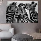 Современные животные черно-белая лошадь холст художественные картины постер Куадрос настенное искусство для гостиной домашний Декор (без рамки)