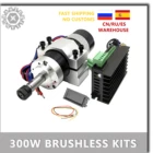 Бесщеточный электродвигатель шпинделя с воздушным охлаждением DC 36 В 12000 обмин 300 ВткВт ER11 + шаговый драйвер 20-50 В постоянного тока + зажим 55 мм + дисплей скорости