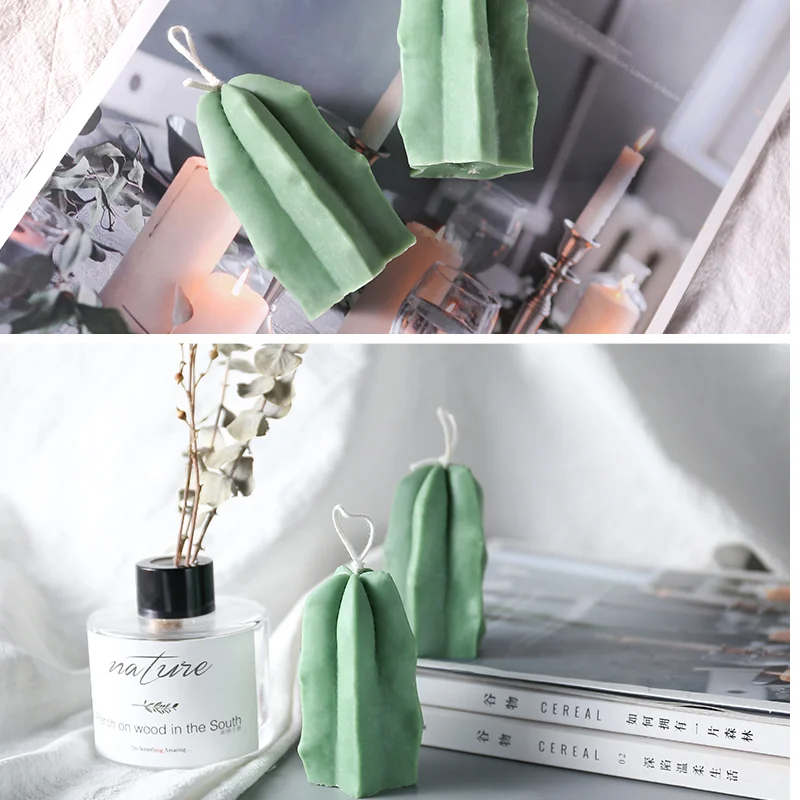 3D кактус суккуленты торты фотосвечи формы сделай сам гипсовая фотоформа