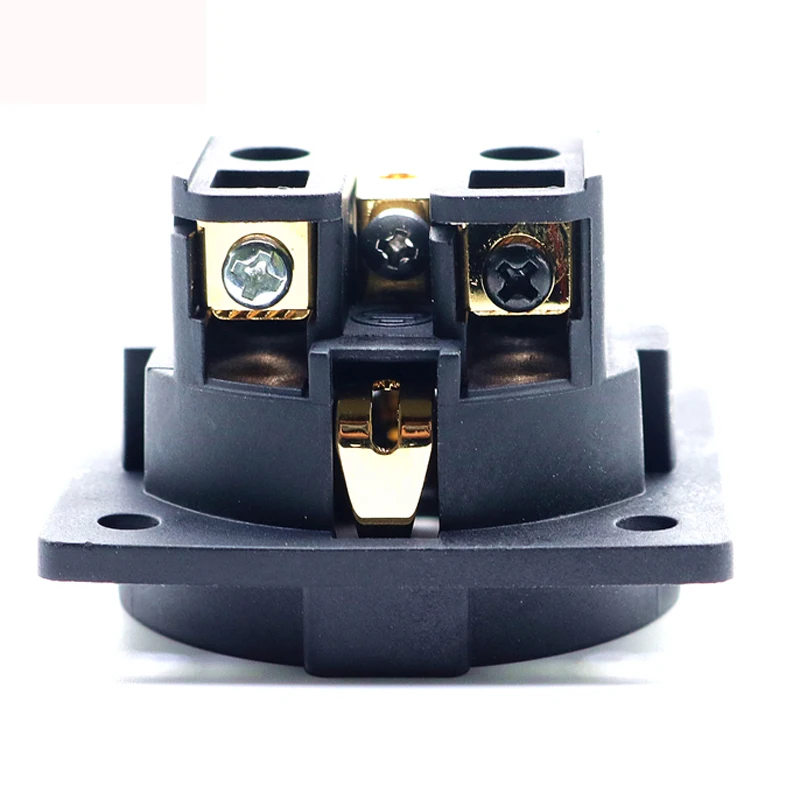 1 шт. Hi Fi аудио усилитель родий золото нейтральный FI E30 AC 250V 16A ЕС евро Штепсель 2 pin