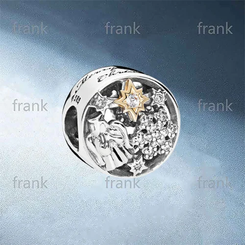 

796363CZ CELESTIAL WONDERS CHARM