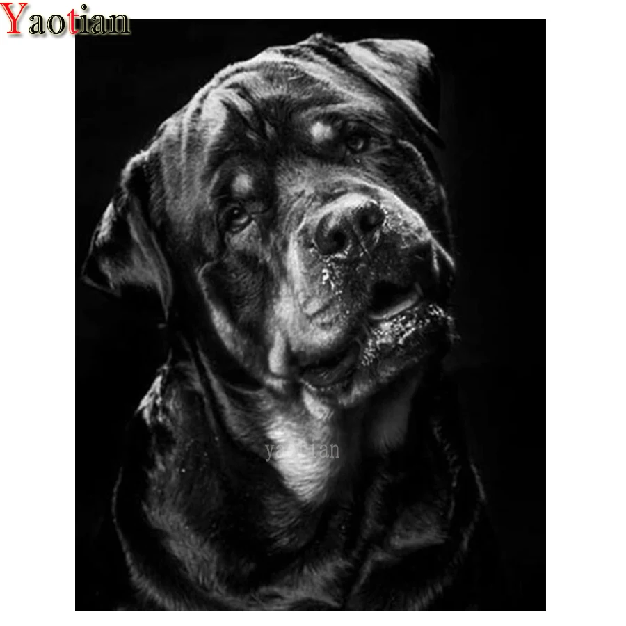 

Алмазная 5D картина Rottweiler с собакой, вышивка, полная выкладка, квадратная Стразы, распродажа, мозаика из страз, вышивка крестиком, украшение д...