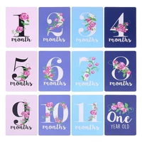 12 sheetset milestone photo sharing cards gift baby age cards newborn photo props b36e