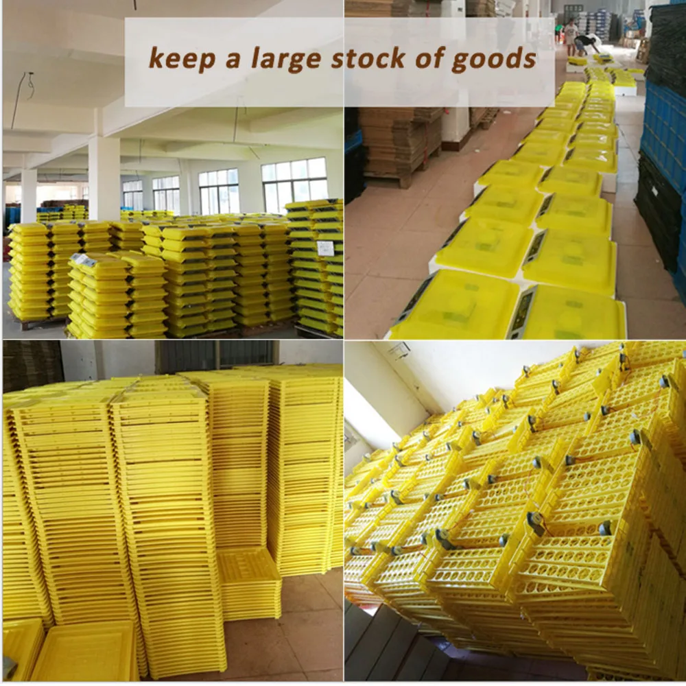 

tenga egg small house machinery halal hatcheries eggs in algiers price 112 egg tester as free gift HT-112