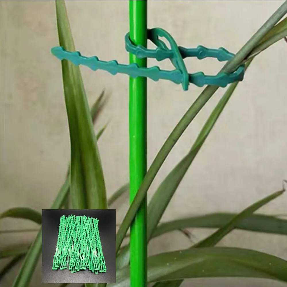 

50pcs Adjustable Plastic Plant Cable Ties Gardening tools for Garden Tree Climbing Support Plant Vine Tomato Stem Clips