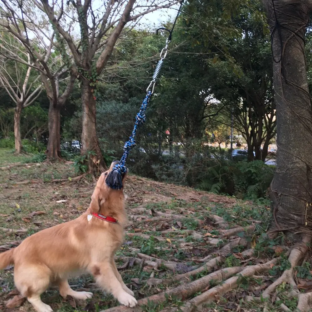Прочные игрушки для собак из нержавеющей стали пружинный полюс Щенячий трос