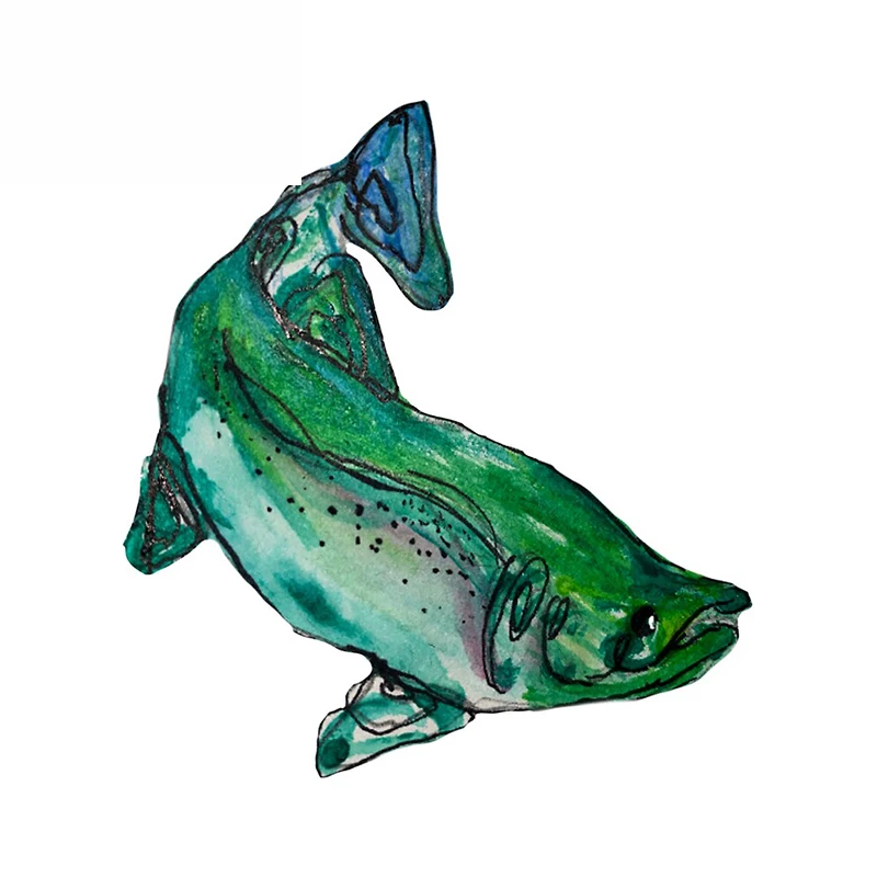 

Dawasaru for Fishing Fish Campervan Car Stickers Car Refrigerators Decal Funny Waterproof Vinyl Personality 13cm X 12.1cm