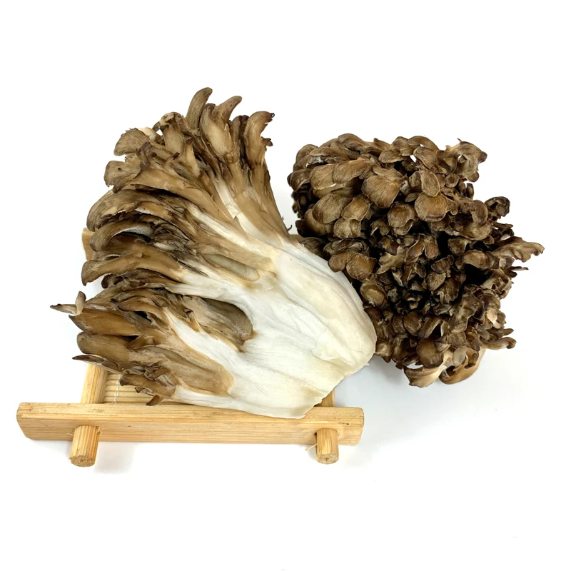 

Сушеные грибы Wild Maitake