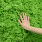 Искусственное зеленое растение, Моховая трава для украшения дома и сада сделай сам, 40 г, материал для цветов, микро Ландшафтные аксессуары