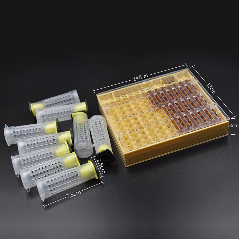 Пчеловодческий инструмент пластиковая система вывода маток коробка для