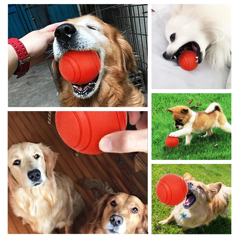 

Pet Dog Training Toys Rubber Ball Bite-resistant Dogs Puppy Teddy Pitbull Pet Supplies Indestructible Ball Chew Play Bite Toys