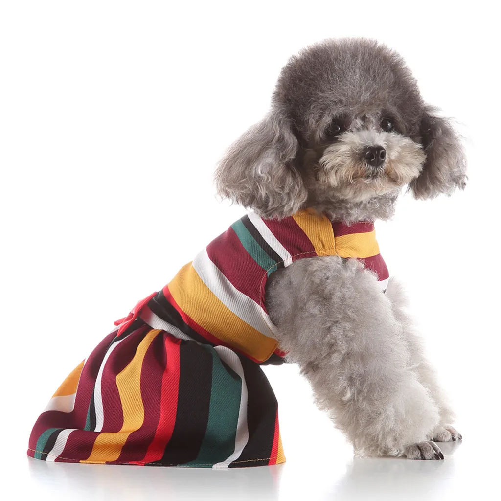 Одежда для собак яркая Радужная рубашка с бантом летняя одежда и кошек 2020 новая