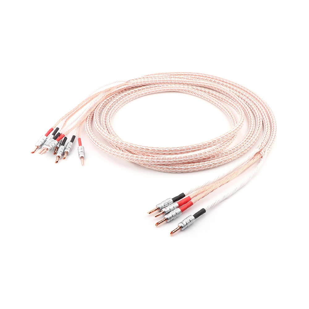 Пара 12TC Hifi Акустический кабель 5N OCC медный громкоговорящий провод с CMC BFA