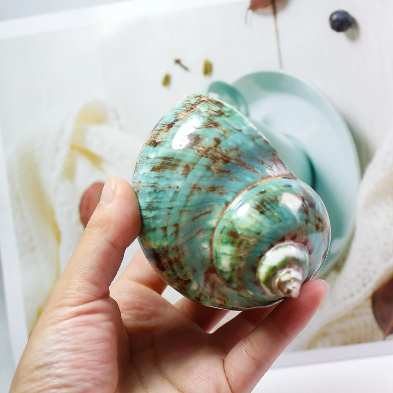 Флуоресцентный узор Улитка Средиземноморский натуральный ракушка коллекция