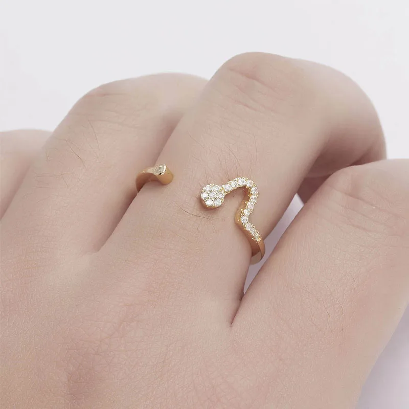 12 зодиакальное кольцо Овен Телец Gemini рак дева весы скорпий Стрелец скидка