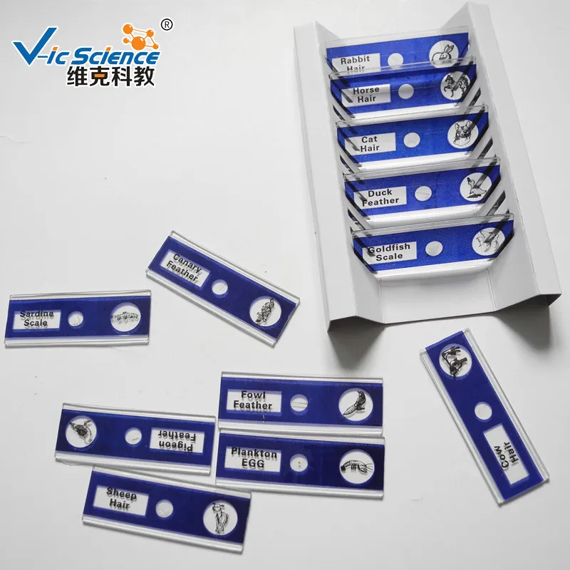 Рождественская акция 12 видов пластиковых микроскопов готовые слайды для детских