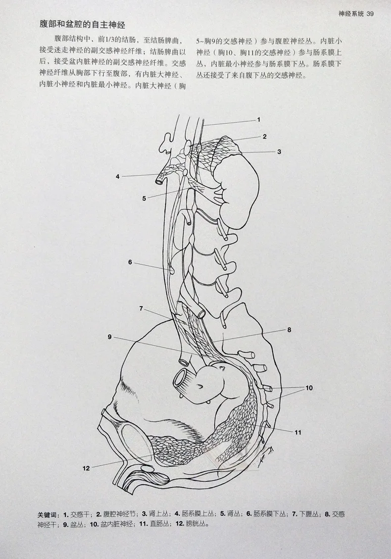 

Complete Human Anatomy Coloring Book Body muscle anatomy line drawing book and physiology with picture