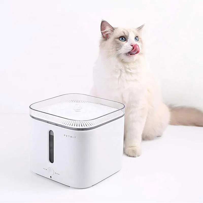 PETKIT автоматический питомец кошка фонтан Электрический Собака Кошка питомец немой поилка питатель миска питатель для домашних животных диспенсер для питьевой воды