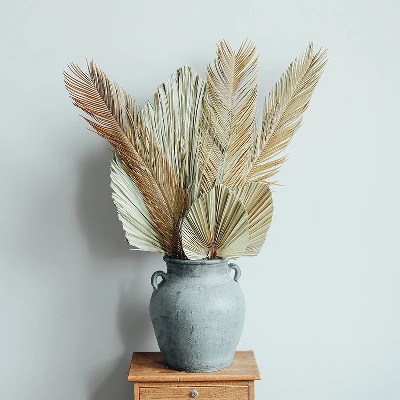 

Fruticose Dracaena Leaf ,Natural Dried Plant Sago Cycas Branch,Dry Palm Fan Leaves,Party Wedding Home Table Decoration