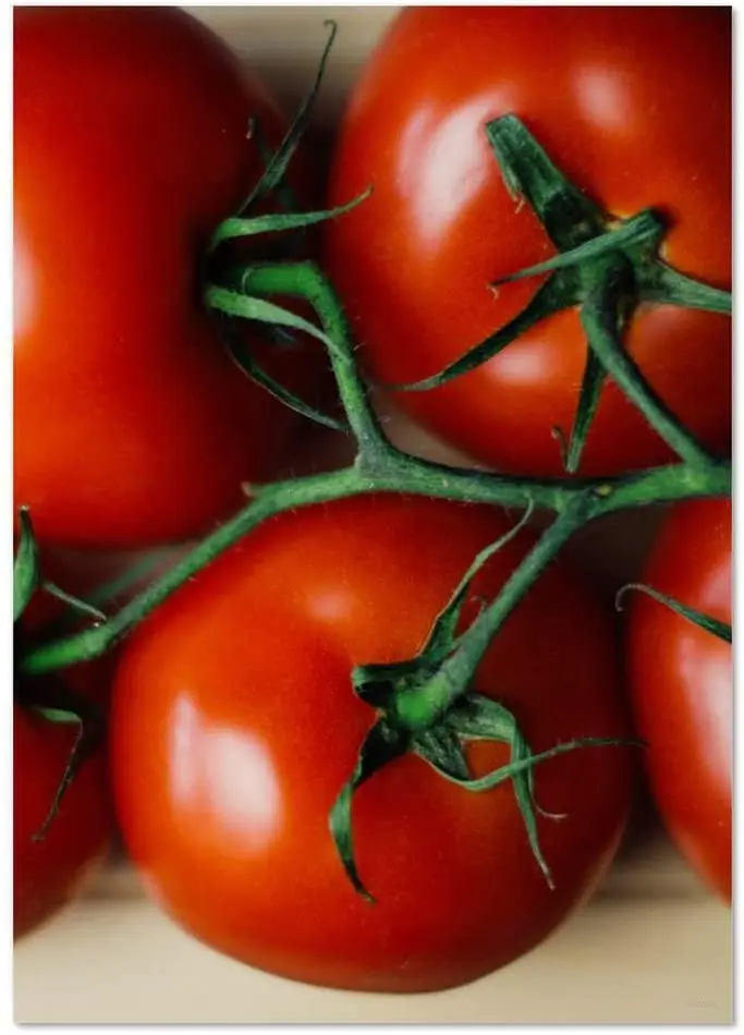 

Зрелые помидоры металлический знак Новинка мужская пещера настенное украшение 8x12 дюймов