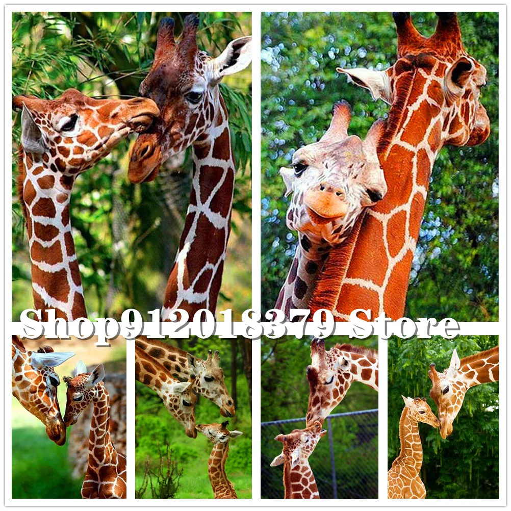 

Diamond Painting Giraffe Animal Full Square Round Drill Diamond Embroidery Pictures of Rhinestones Mosaic Wall Art Cross Stitch