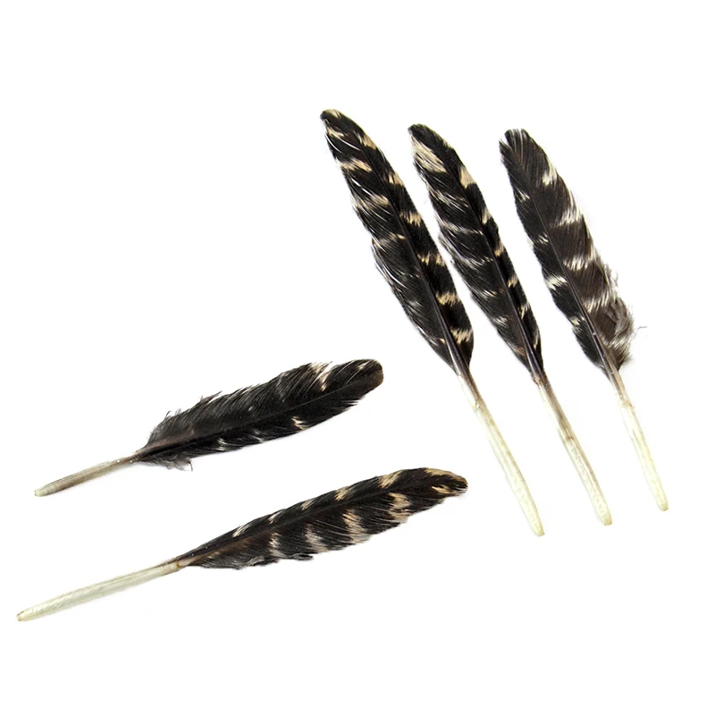 

Stripe Style Natural Goose Feather Wedding Party Decoration Black Goose Feathers for Carnival Stage Hats Accessories 8-10cm