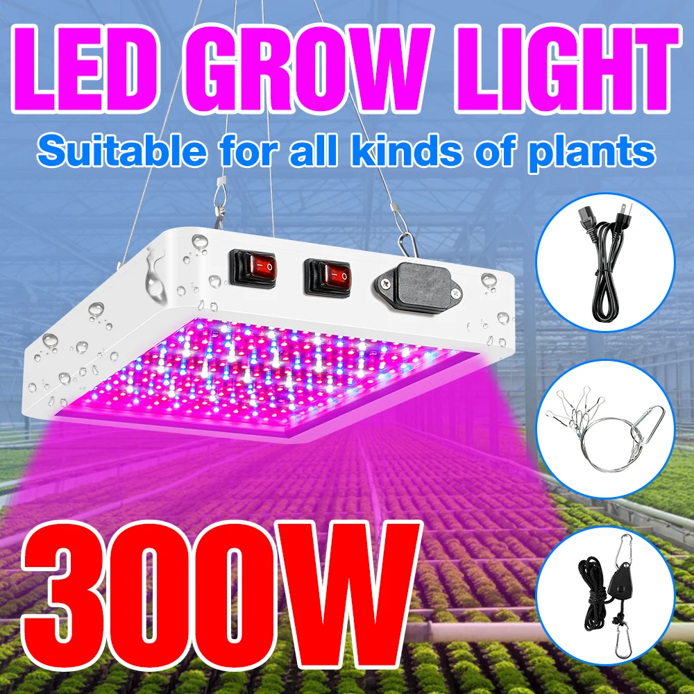 Full Spectrum 300W 500W LED Grow Light 220V Phyto Lamp for Indoor Plants and Flower Greenhouse Grow Tent Box 110V EU US UK Plug