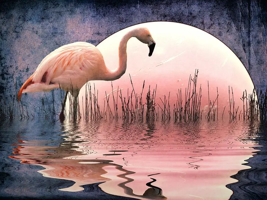 

JMINE Div 5D flamingo moon river Full Diamond Painting cross stitch kits art High Quality Animal 3D paint by diamonds