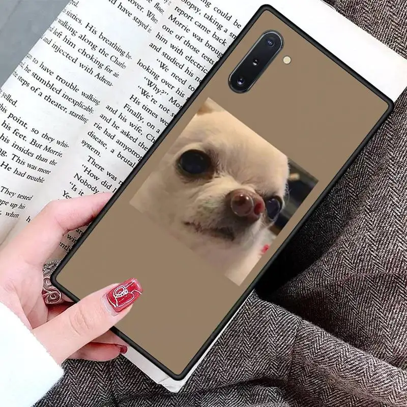 

Cute funny animal cat Phone Case For Samsung Galaxy S8 S9 S10 Plus S10E Note 3 4 5 6 7 8 9 10 Pro Lite cover