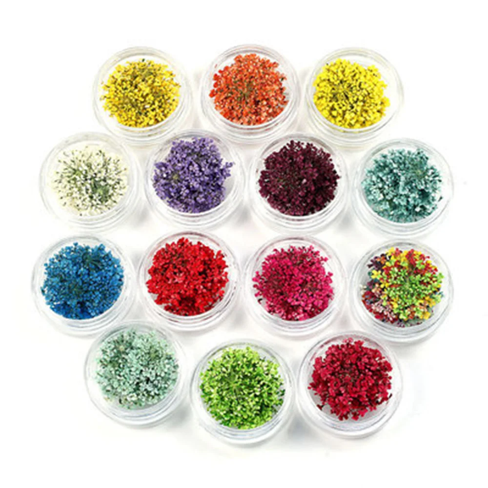 

20pcs Gypsophila Dry Flower Embossing Snow Bead Flower With Box Shell Nail Jewelry Making Craft DIY Access Holiday Party Supplie