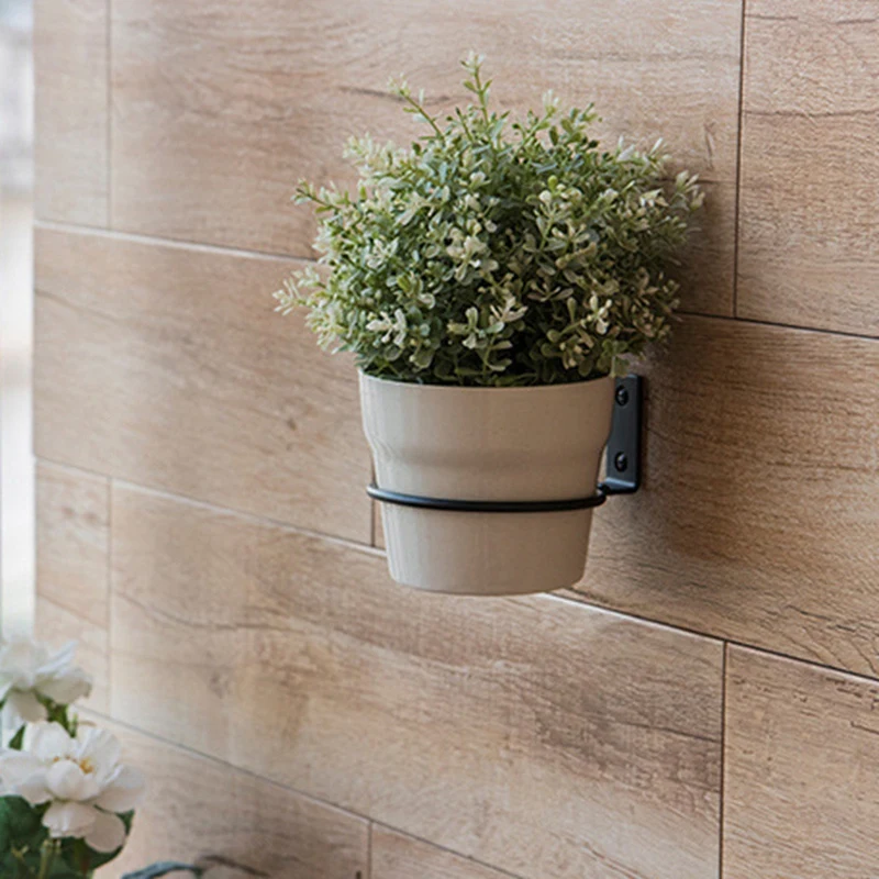 3 шт. 4 дюйма настенный крючок для растений|Кронштейны| |