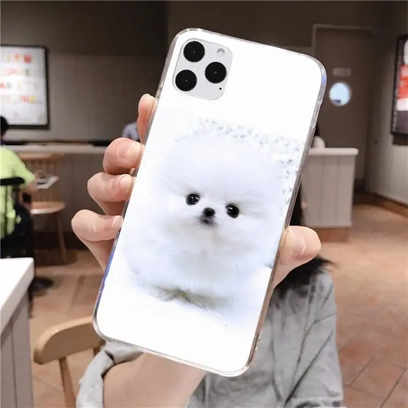 Фото Чехол с изображением померанского шпица для iPhone всех моделей от 5S до 11 Pro XS Max SE 2020 XR Чехол с изображением померанского шпица для iPhone всех моделей от 5S до 11 Pro XS Max SE 2020 XR