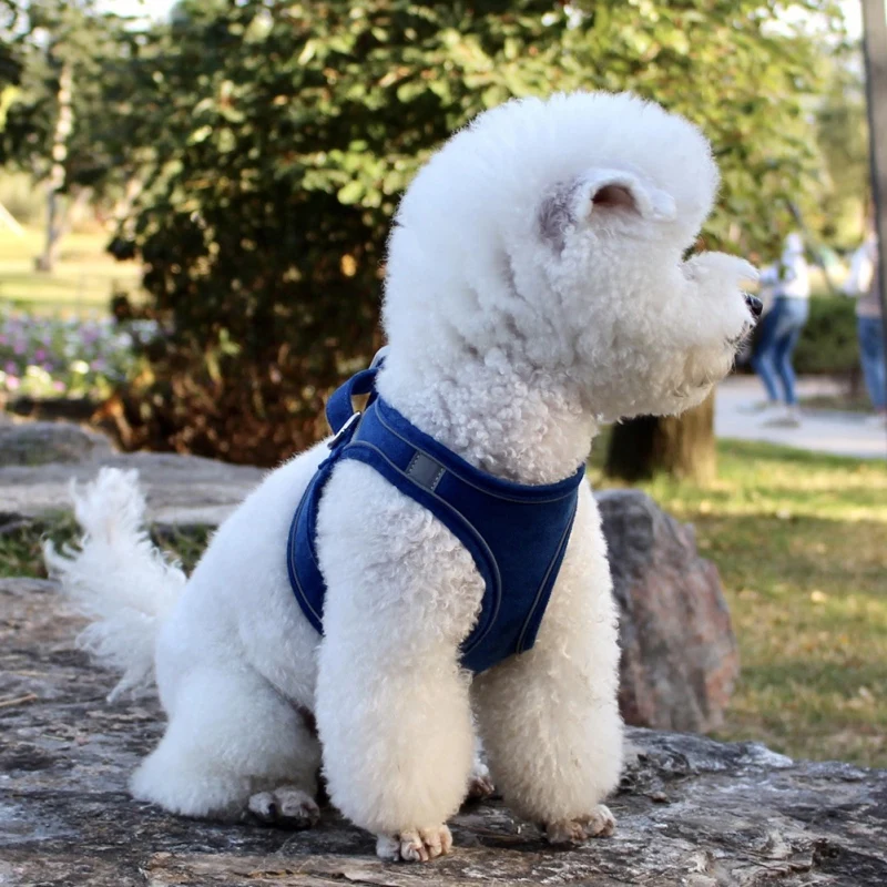 

Personalized Dog Harness With Leash Reflective Breathable Adjustable Pet Harness For Small Medium Dog Harness Vest #2