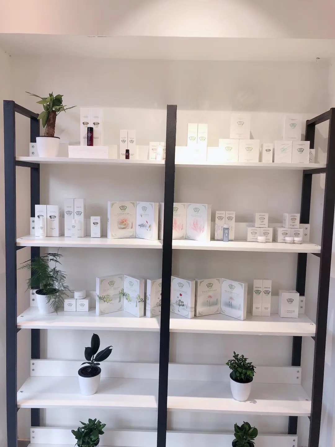 

Lip Oil Extraction Of Pure Plant Essence Lipstick Panax Ginseng Plant Squalane Olea Europaea Lip Balm/Gloss