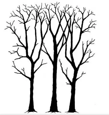 Прозрачный цветочный штамп для D ясный или DIY Скрапбукинг дети забавное украшение